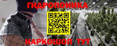 каннабис Камышлов
