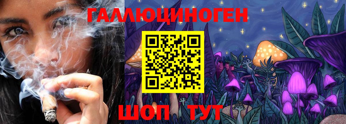 Галлюциногенные грибы прущие грибы Ефремов