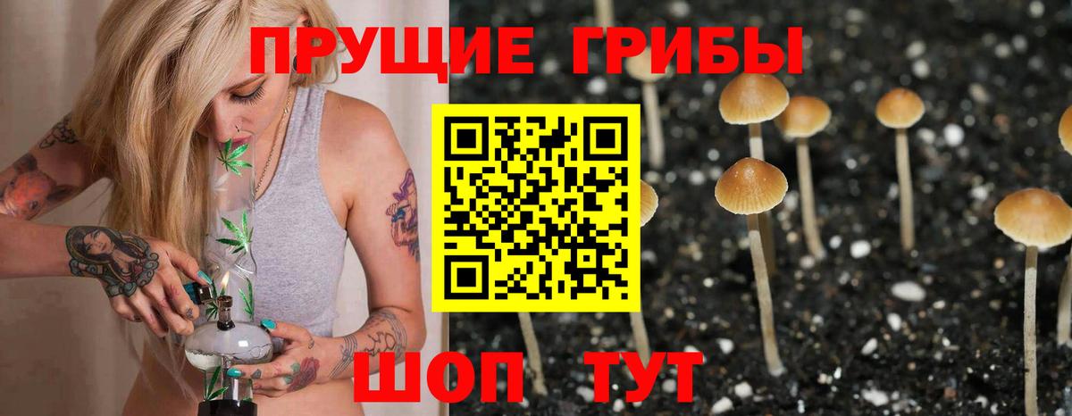 Галлюциногенные грибы Cubensis  Галлюциногенные грибы Psilocybe  Вход с VPN  Ефремов 
